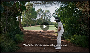 2026 Golf with Us Commercial with Bubba. Click image to watch the video.